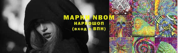 MDMA Новозыбков
