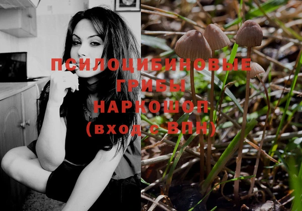 MDMA Новозыбков