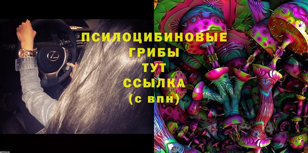 твердый Новокубанск