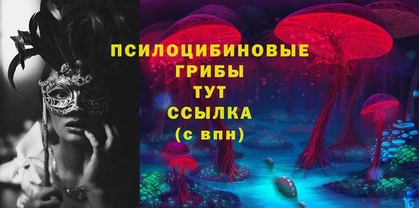 MDMA Новозыбков