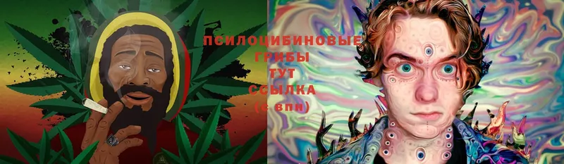 Галлюциногенные грибы MAGIC MUSHROOMS  Советская Гавань 