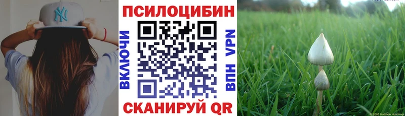 Псилоцибиновые грибы мицелий  Советская Гавань 