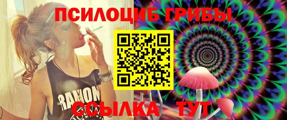Псилоцибиновые грибы GOLDEN TEACHER  Галлюциногенные грибы мухоморы  Советская Гавань  Вход с VPN 