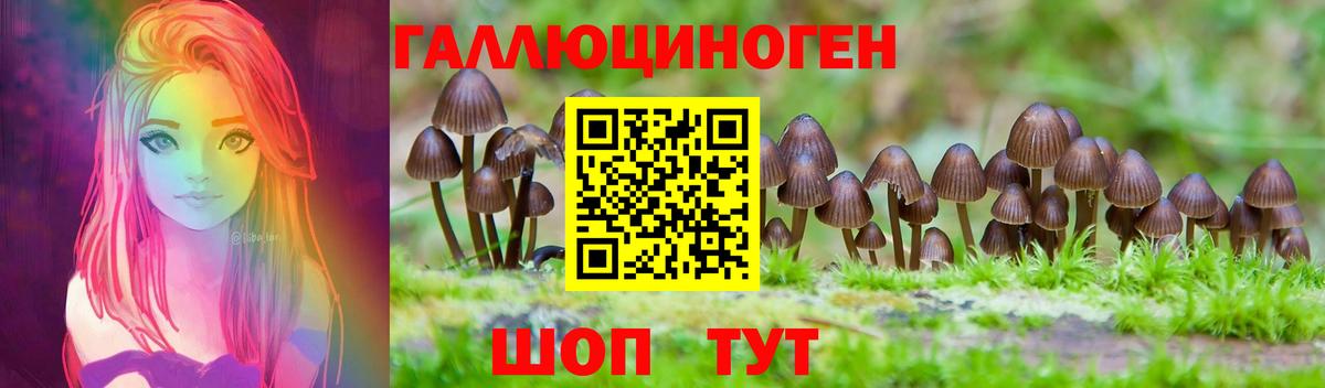 Галлюциногенные грибы Cubensis Советская Гавань